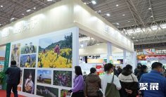 2025武汉食品展(CFEF)观展攻略(时间/地点/观众预约)