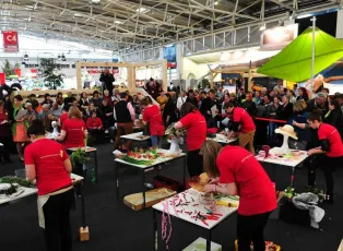 2026年德国花卉园艺展门票如何申请？多少钱？