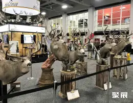 澳洲狩猎展展会现场(现场盛况)5