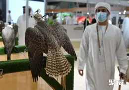 迪拜狩猎展现场图片5