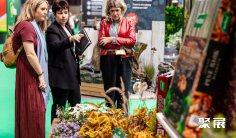 2026英国园艺展(GLEE)展位图与展位申请