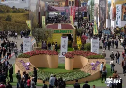 意大利酒展现场图片2