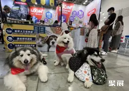 台湾宠物用品展展会现场(现场盛况)5