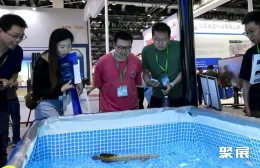 成都军博会现场图片3