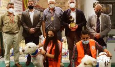 西班牙狩猎展2026逛展指南:时间地点/门票价格