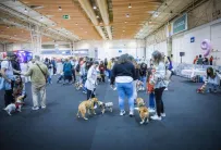 2025葡萄牙宠物展展品范围有哪些?