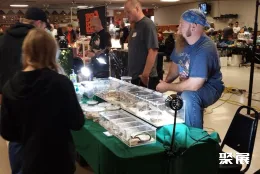 美国爬宠展现场图片4