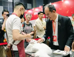 香港猫博会展会现场(现场盛况)7