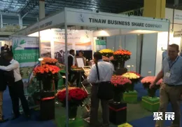 印度花卉园艺展现场图片3