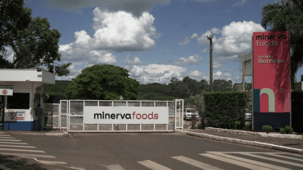 MINERVA FOOD
