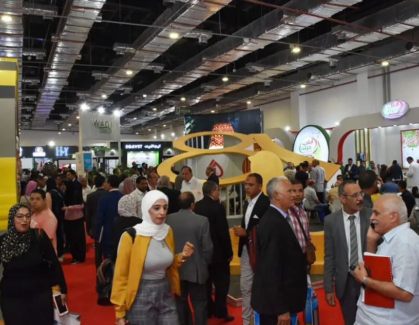 埃及畜牧展现场图片1