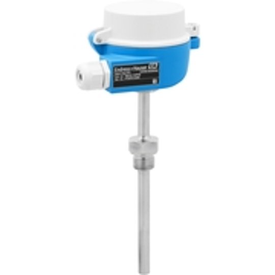 Endress+Hauser