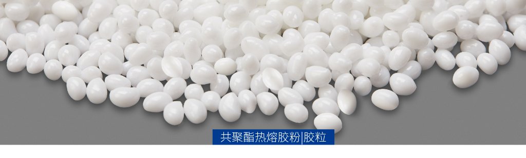 天洋新材(上海)科技股份有限公司