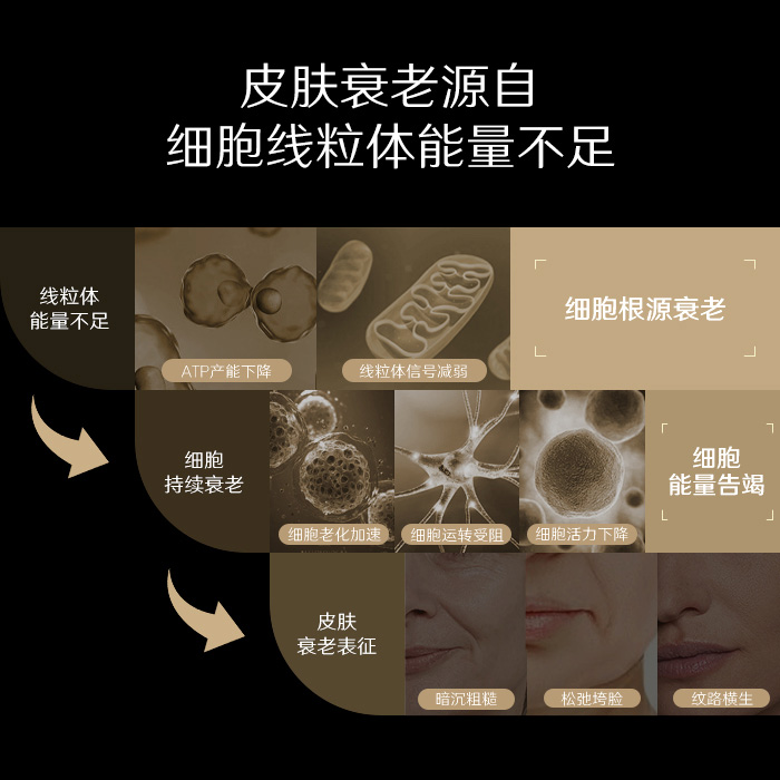 华熙生物科技股份有限公司