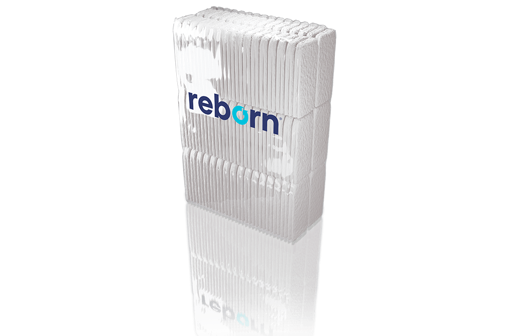 REBORN