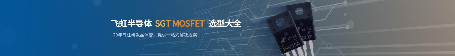广州飞虹半导体科技有限公司