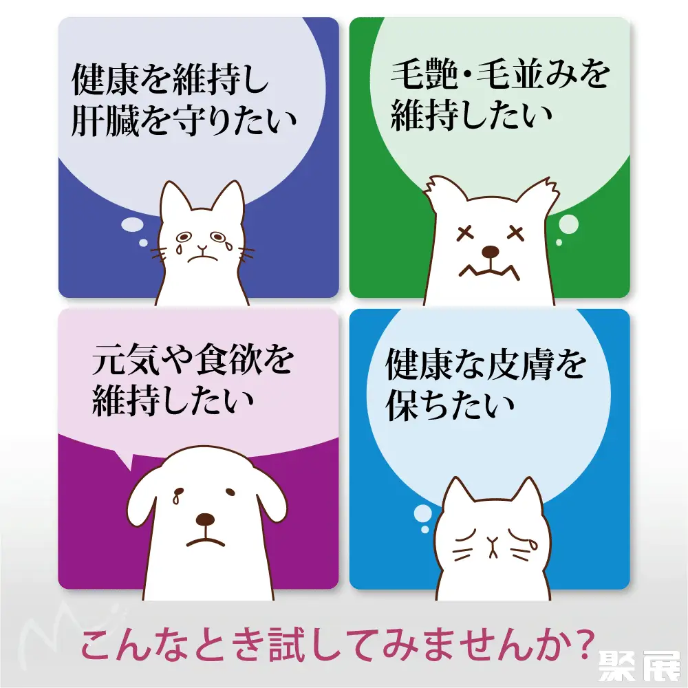 Monolith Co., Ltd.