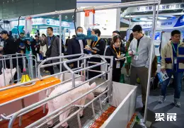 世界猪业博览会展会现场(现场盛况)1