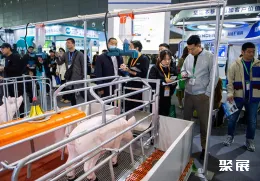 李曼养猪大会现场图片1