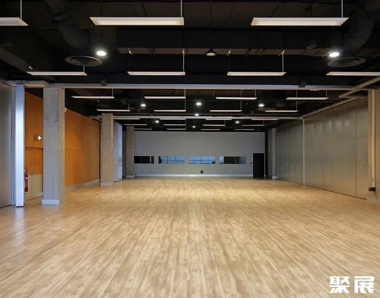 法国里尔大皇宫实景