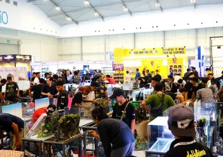 雅加达电子展现场图片2