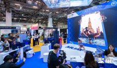 2025年新加坡旅游展门票哪里买,购买途径?