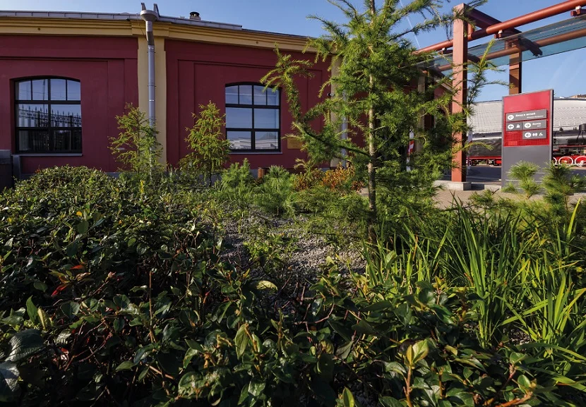 俄罗斯圣彼得堡铁路博物馆图片3