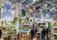 德国园艺展2026参展攻略（时间+地点+门票）