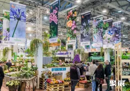 德国园艺展现场图片7