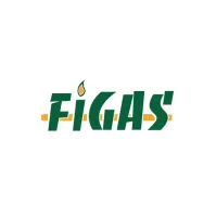 2024FiGas参观攻略（时间+地点+门票预约+交通）