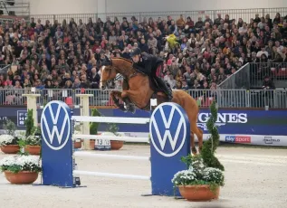 意大利马术展2025有哪些参展商？参展商名单大全