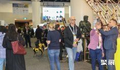 2025年澳大利亚建筑展门票购买途径?怎么购票?