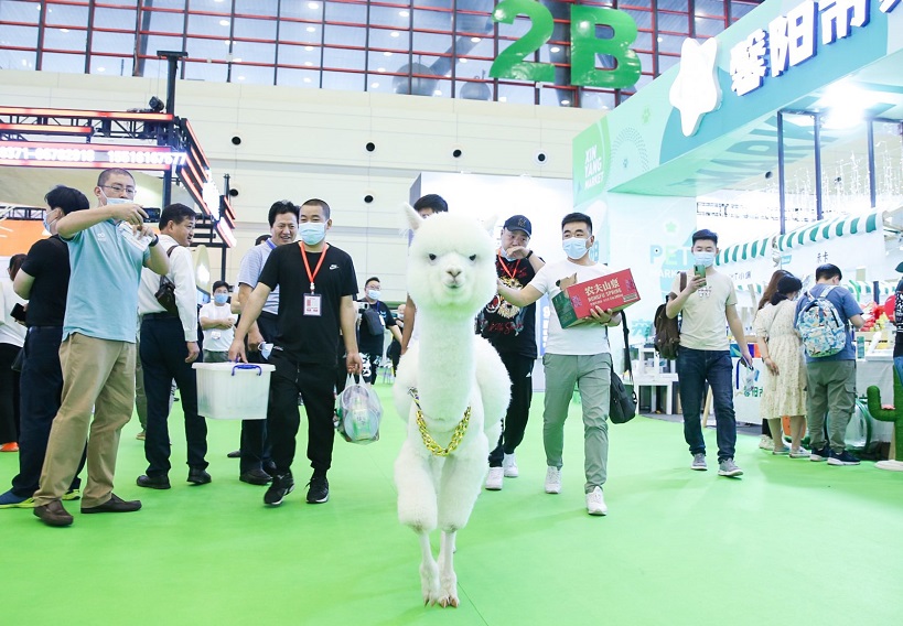 郑州宠物展2025参展攻略（时间地点，门票怎么预约?）