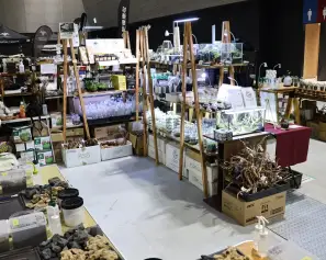 日本爱知露营户外休闲用品展览会(FIELDSTYLE JAPAN)2026逛展指南：时间地点/门票多少钱
