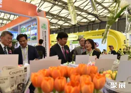上海花卉园艺展现场图片7