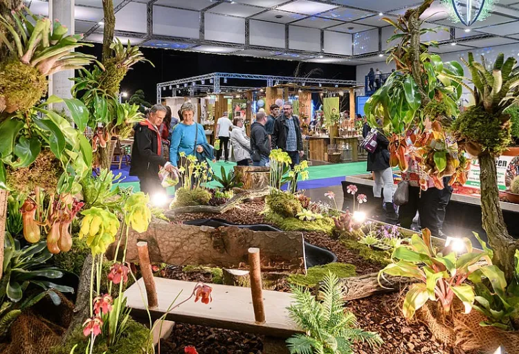 德国德累斯顿花卉园艺展览会
