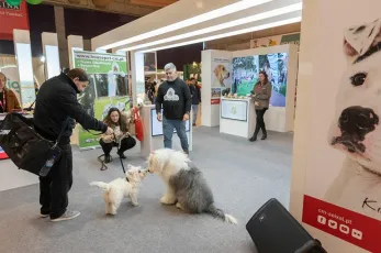 2026葡萄牙宠物展时间及地点