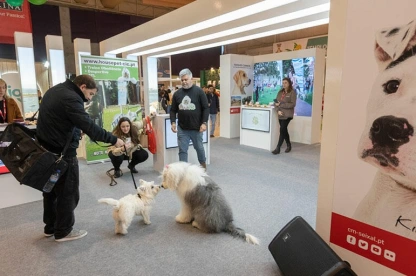 2026葡萄牙宠物展时间及地点