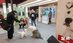2026葡萄牙宠物展时间及地点