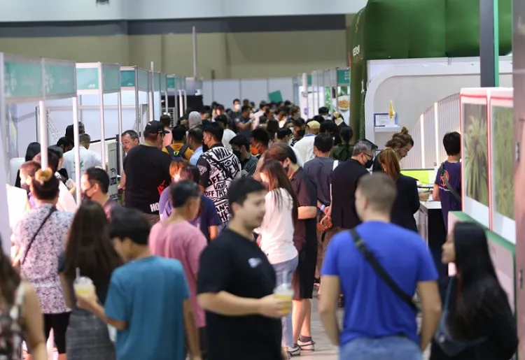 泰国曼谷大麻展-亚洲国际大麻论坛AIHEF