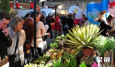 德国花卉园艺展2026时间和举办地点