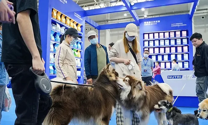 2025西安宠物用品展览会时间地点表