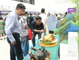 昆明石博会展会现场(现场盛况)11