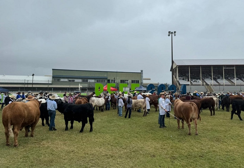 2027澳大利亚昆士兰州牛肉产业及肉类加工展览会展位图与展位申请