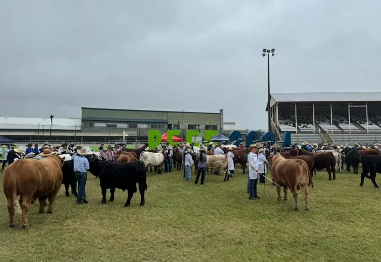 澳洲澳大利亚昆士兰州牛肉产业及肉类加工展览会