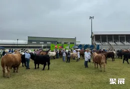 澳大利亚肉类展现场图片4