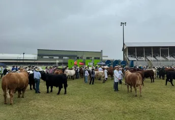 2027澳大利亚昆士兰州牛肉产业及肉类加工展览会展位图与展位申请