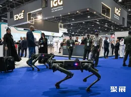 阿布扎比军警展现场图片7