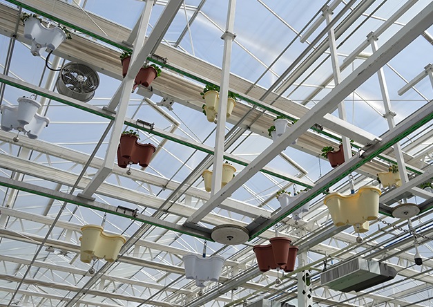 新疆农业博览园（昌吉）实拍图