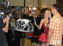 拉斯维加斯成人展现场图片7